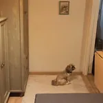 Cichy Zakątek * Kołobrzeg